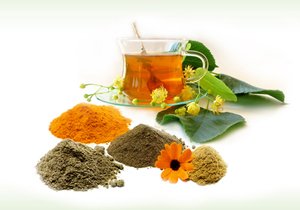 Herbal Extracts Manufacturer Exporter India