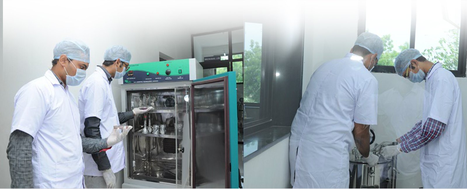 Plant Extracts Manufacturers In India - Global Export