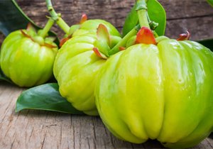 Garcinia Cambogia Extract